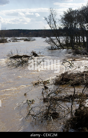 Rivière Spey en crue et inondation à Garmouth, l'Ecosse en avril 2010 en raison de la fonte des neiges. Banque D'Images