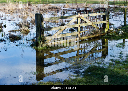 Barrière en bois de champ inondé avec de l'eau à partir de la rivière Spey à Garmouth, l'Ecosse en avril 2010 en raison de la fonte des neiges. Banque D'Images