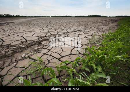 De grandes fissures dans la terre à partir de la terre sèche ; Manitoba, Canada Banque D'Images