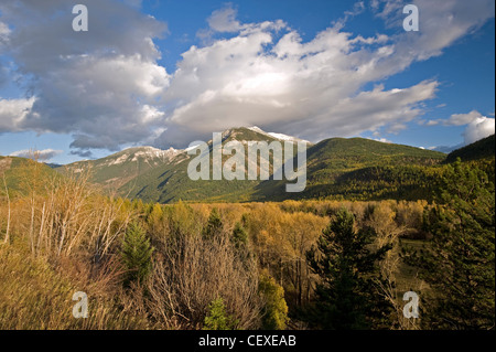Montagnes Rocheuses et Elk River par Fernie, British Columbia, Canada Banque D'Images