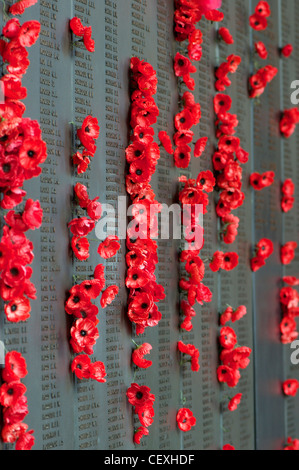 Poppies coincé à côté des noms de proches sur le Mémorial Australien de la guerre à Canberra, Australie Banque D'Images