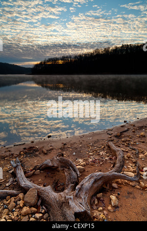 Wahoo Creek Park est situé sur la partie nord du lac Lanier en Géorgie. il a des installations de mise à l'eau ainsi que des aires de pique-nique. Banque D'Images