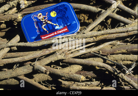 Italie Calabre , Rossano , récolte de racines de réglisse Glycyrrhiza glabra Réglisse d'une usine de confiserie à la réglisse Banque D'Images