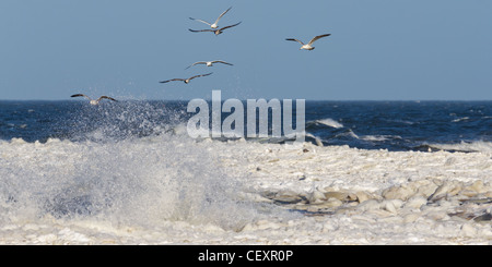 La plage couverte de neige à Rewal, sur la côte ouest de la mer Baltique en Pologne. L'hiver sur la mer Baltique Banque D'Images