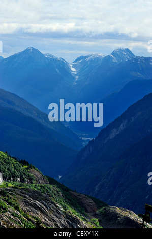 Dans la vallée de la rivière au saumon qu'il parcourt les montagnes côtières de la Colombie-Britannique, Canada Banque D'Images