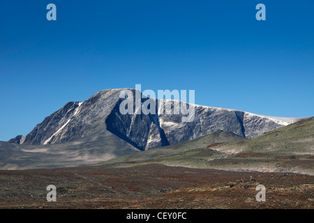 Snøhetta, montagne la plus élevée de la gamme Dovrefjell, Parc National de Dovrefjell-Sunndalsfjella, Norvège Banque D'Images