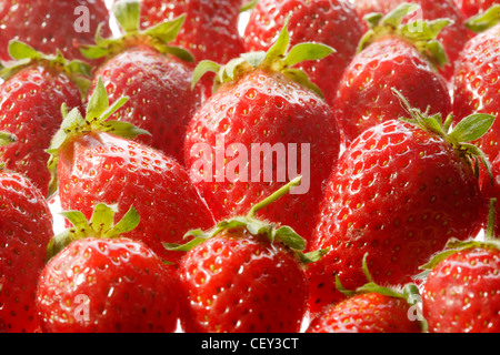 Fraises rouges frais, délicieux tentation d'été Banque D'Images