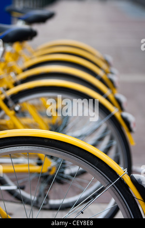 Une rangée de vélos jaunes pour location à Turin, Italie, dans le cadre de la vélo-partage ToBike scheme. Banque D'Images