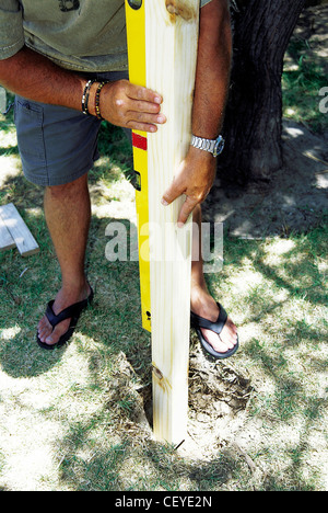 Un FORBuild Maison de l'arbre mâle étape l'alignement d'une planche de bois à l'aide d'un niveau à bulle Banque D'Images