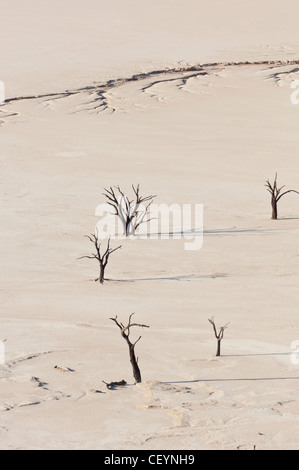 Vue aérienne de Deadvlei, l'argile blanche pan près de Sossusvlei, Namib Naukluft Park. La Namibie. Banque D'Images