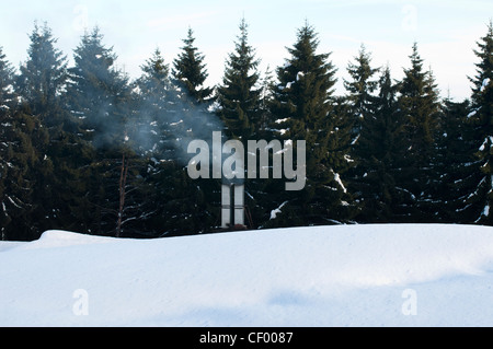 Fumeurs cheminée du chalet dans les bois. Banque D'Images