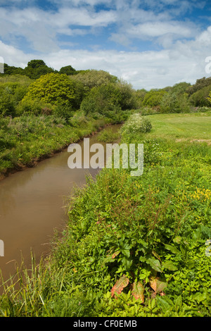 Royaume-uni, Angleterre, île de Wight, Alverstone, rives du fleuve Yar Banque D'Images