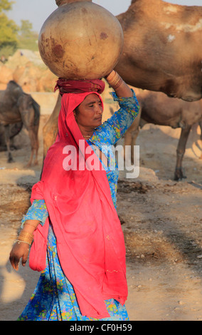 L'Inde, Rajasthan, Nagaur, équitable, femme, transport de l'eau, Banque D'Images