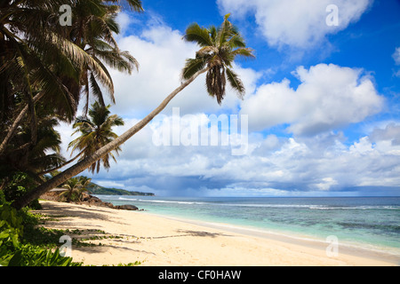 Anse Plage de Bougainville, l'île de Mahé, de l'Océan Indien, les Seychelles Banque D'Images