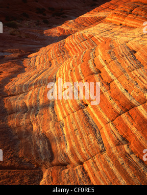 Coucher du soleil, le grès dans Coyote Buttes North le long Utah-Arizona frontière, USA Banque D'Images