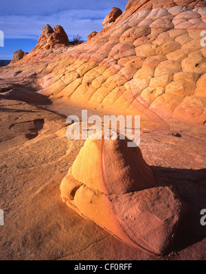 Coucher du soleil, le Coyote buttes de grès dans le sud le long de la frontière Utah-Arizona, USA Banque D'Images