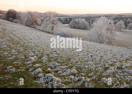 Décembre Le givre transforme le brièvement bloqué campagne du Dorset dans un paysage hivernal merveilleux. Vallée de cerne, le sud de l'Angleterre, Royaume-Uni. Banque D'Images