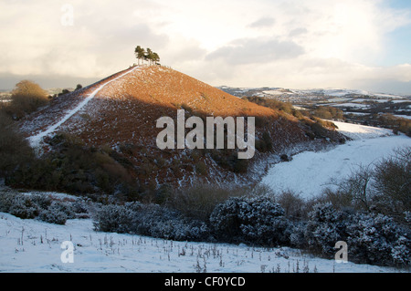 Colmer's Hill en hiver : cette modeste mais distinctive Hill est devenu un établissement emblématique de la région de West Bridport Dorset. Angleterre, Royaume-Uni. Banque D'Images