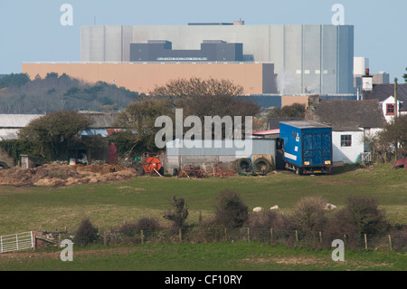 Nucléaire Wylfa power station ferme avec en premier plan sur l'île d'Anglesey Banque D'Images