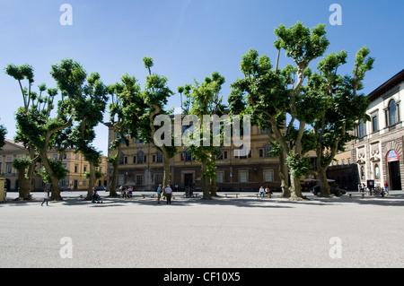 Piazza Napoleone, Lucca, Italie Banque D'Images