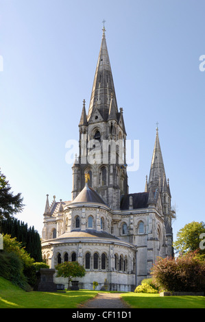 La Cathédrale St Finn Barre Cork Banque D'Images