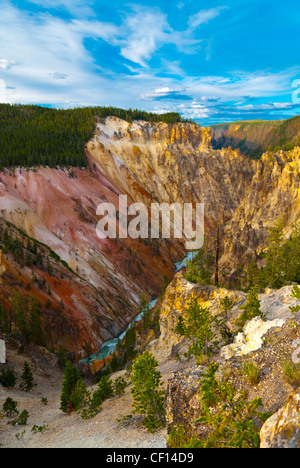 Vue à partir de la Lower Falls in Yellowstone Banque D'Images