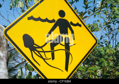 Une signalisation routière avise les personnes des risques de natation posé par la présence de fort jelly fish. Banque D'Images