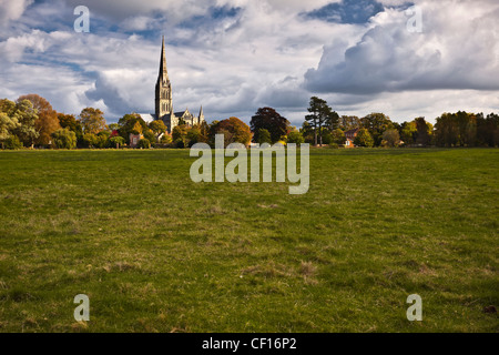 L'ensemble de l'Ouest à l'eau 68 London meadows vers la cathédrale de Salisbury dans le Wiltshire. Banque D'Images