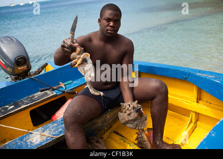 Un pêcheur nettoie le matin de captures de chair de strombe géant avant de le vendre à un restaurant à Chatham Bay sur l'île de l'Union européenne. Banque D'Images