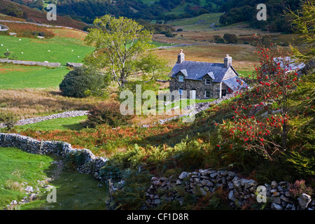 Ferme près de Cregennan lacs au pied de la montagne Cader Idris dans le sud de Snowdonia. Banque D'Images