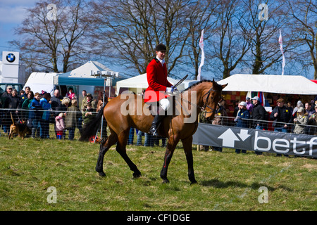 Le maître de foxhounds monté sur son cheval à la Journée Portes Ouvertes 2010 Lambourn Betfair. Banque D'Images