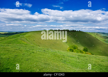 Les marcheurs Hill sur Pewsey Downs, au sud de la Marlborough Downs surplombant Pewsey Vale. Banque D'Images