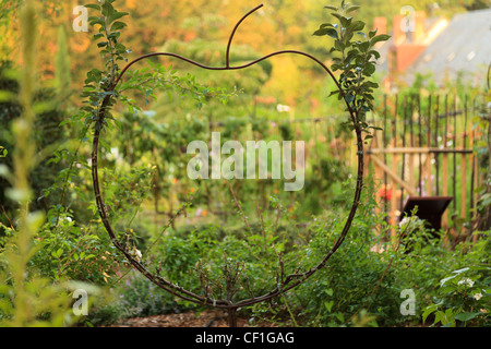 Structure en forme d'Apple pour guider un jeune pommier au Festival International des jardins de Chaumont-sur-Loire. Banque D'Images