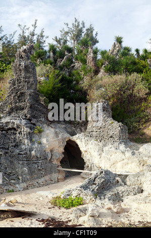 Coral Cliff, formations rocheuses et une grotte, Baie de l'église paroissiale de Southampton, Bermudes, Banque D'Images