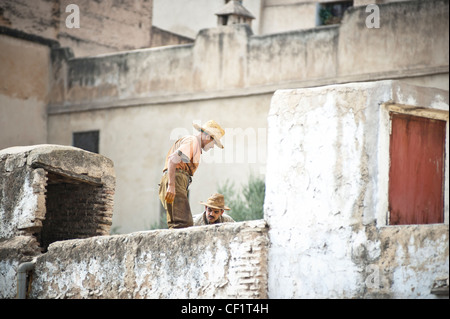 L'homme au travail dans l'Chouwara Tannerie de Fès, Maroc Banque D'Images