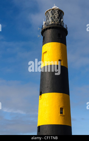 Phare à St John's Point, point le plus à l'Est de l'Irlande. Banque D'Images