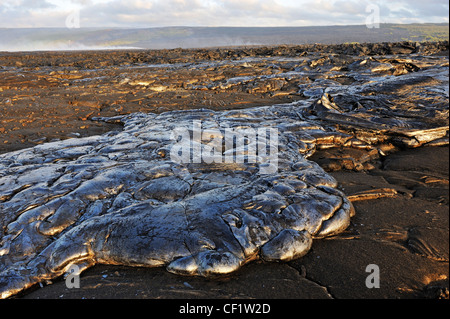 La coulée de lave pahoehoe refroidie, Kilauea Volcano, Hawaii Volcanoes National Park, États-Unis Banque D'Images