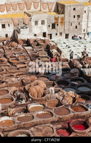 Nos gens au travail dans la tannerie Chouwara de Fès, Maroc Banque D'Images