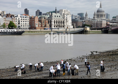 Nettoyage de la litière des bénévoles de la rive de la Tamise sur la rive sud, à marée basse. Banque D'Images