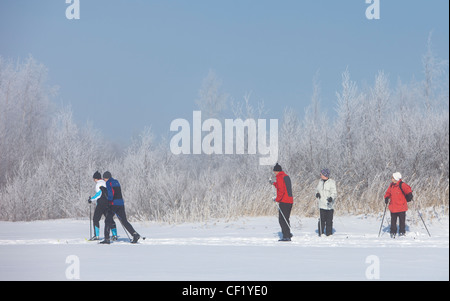 Groupe de skieurs de fond , Finlande Banque D'Images