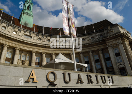 Le SEA LIFE London Aquarium du County Hall (accueil de l'ancien CGL) sur la rive sud de la Tamise. Banque D'Images