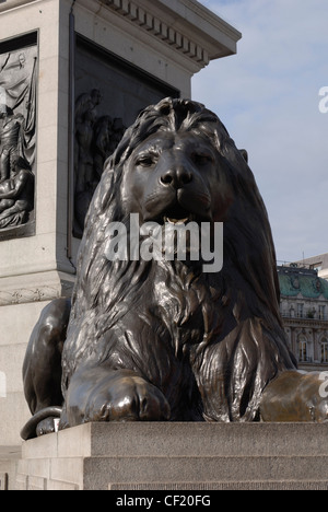 L'un des lions en bronze à la base de la Colonne Nelson à Trafalgar Square. Les lions ont été sculpté par Sir Edwin Landseer et dans Banque D'Images