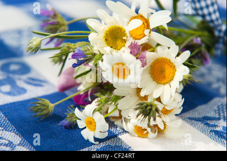 Bouquet de fleurs sauvages sur bleu tapis de table Banque D'Images