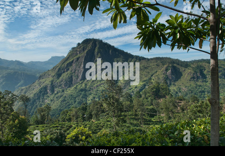 Voir à travers la belle Ella Gap de peu d'Adams Peak près de Ella, Sri Lanka Banque D'Images