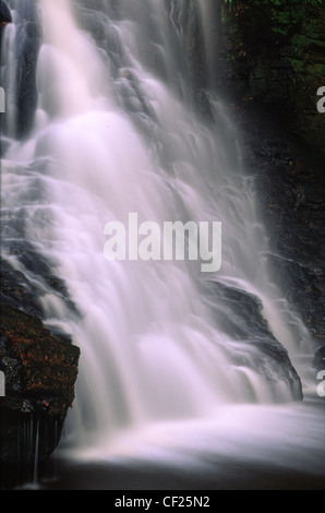 Le fluide en cascade du Hareshaw Linn dans le Parc National de Northumberland. Banque D'Images