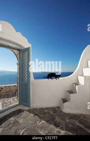 Un chat noir sur le mur d'un mur peint en blanc traditionnel d'une grotte située dans le village de Oia Banque D'Images