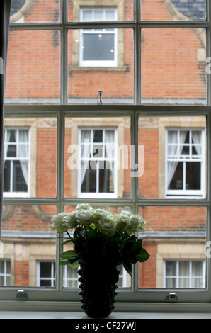 Interiof maison géorgienne à Mayfair, Londres vase de roses blanches sur le rebord de fenêtre à guillotine en face de la maison en brique rouge d'en face Banque D'Images