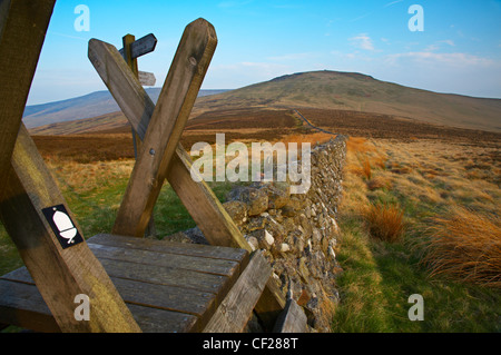 Stile de l'échelle sur un mur marquant la frontière avec l'Ecosse / Angleterre la Schil au loin. Banque D'Images