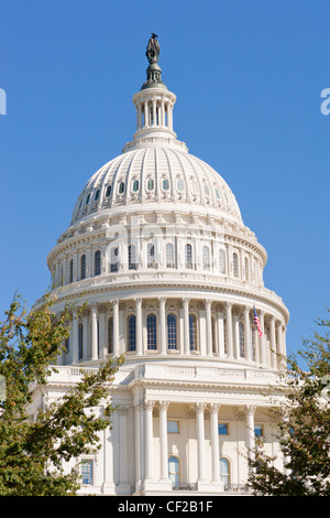 Dôme de la United States US Capitol Building Washington DC. Avant de l'ouest vu du National Mall. Banque D'Images