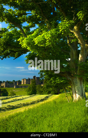 Château d'Alnwick vu de terres agricoles. Château d'Alnwick est un des plus beaux châteaux médiévaux en Angleterre. Souvent appelé Banque D'Images